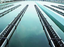 开云体育在线登录